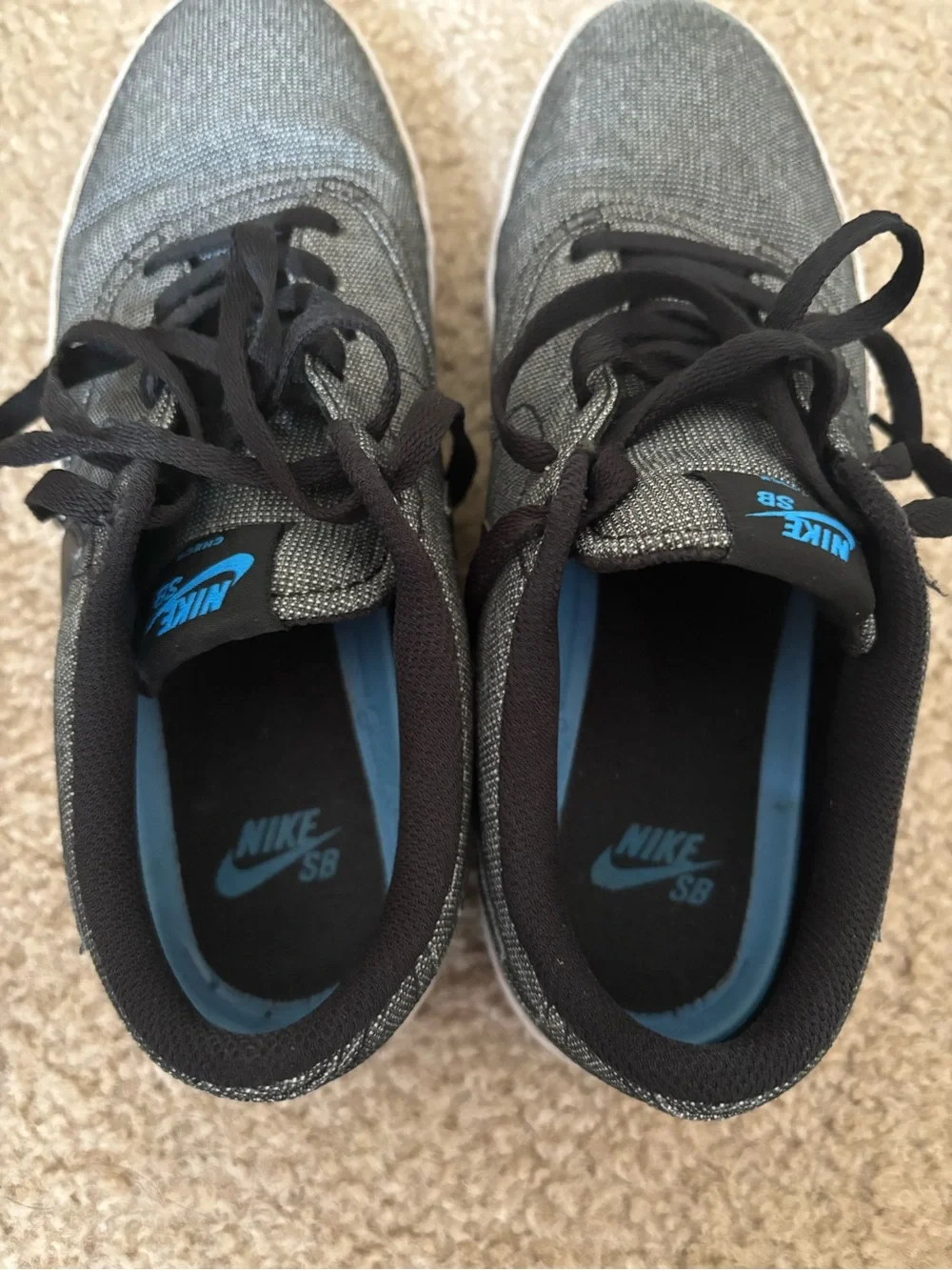 Nike Black and Blue SB Low-Top Canvas Sneakers